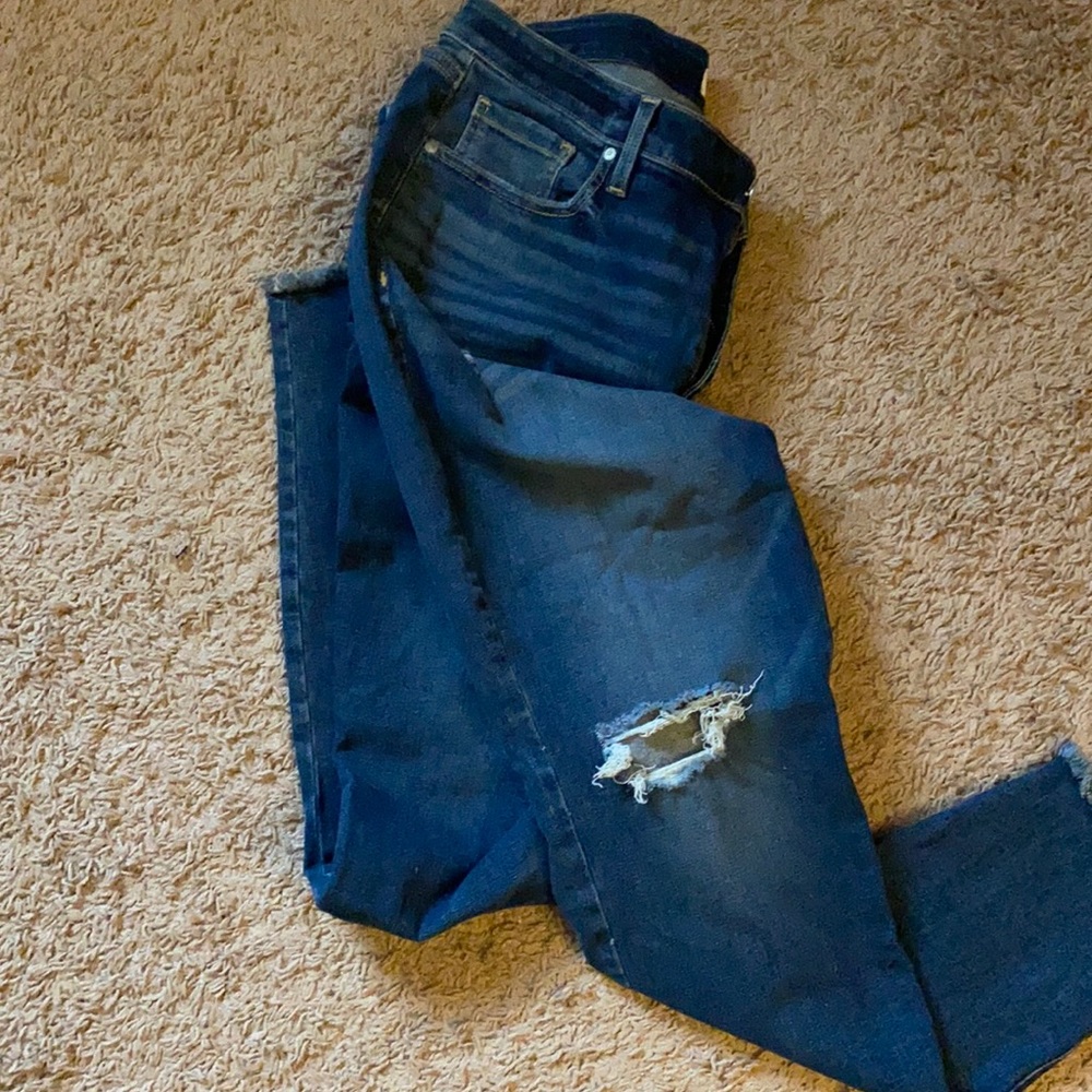 Lane Bryant Jeans
